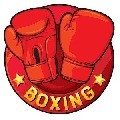 真实拳击2内购免费版(Real Boxing 2)