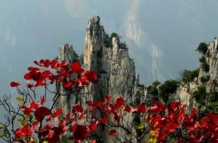 梦幻西游山河画卷,梦幻山河画卷能飞吗?