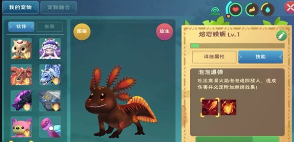 创造与魔法龙血拳皇,龙血拳皇：勇闯创造与魔法的世界，挥洒热血的传奇！