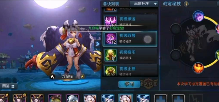 乱斗西游什么宠物最好养