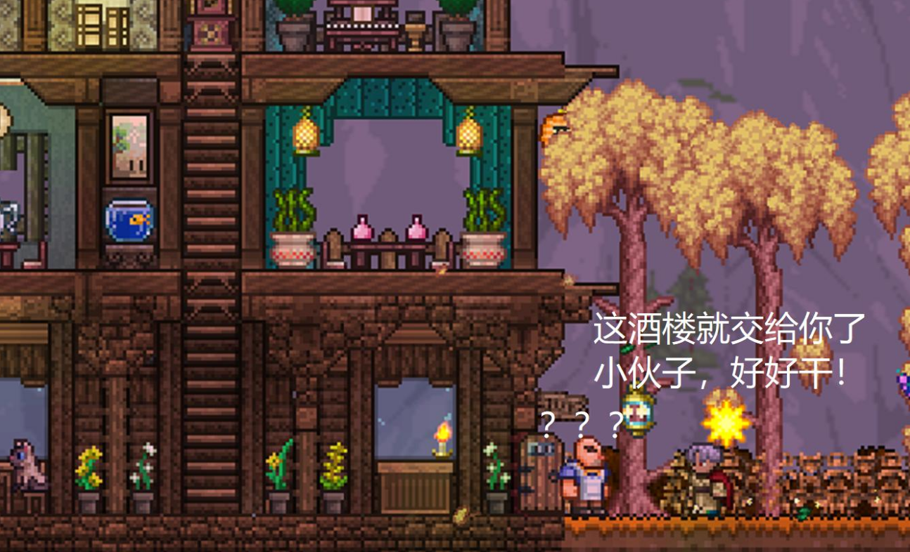 泰拉瑞亚护卫奖章奖励有哪些