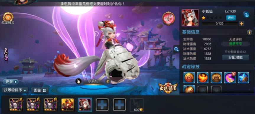 乱斗西游宠物哪里得 乱斗西游宠物哪里得