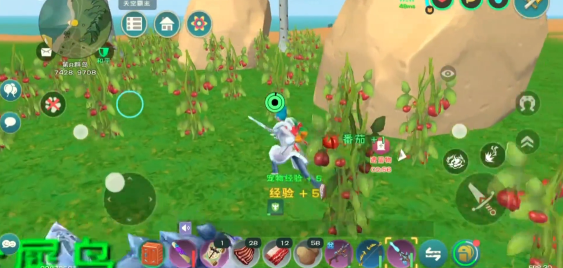 创造与魔法番茄在哪 创造与魔法番茄在哪