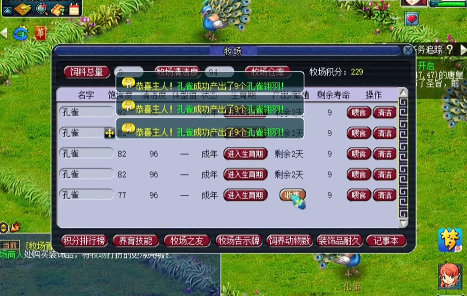 梦幻西游牧场孔雀毛能干什么