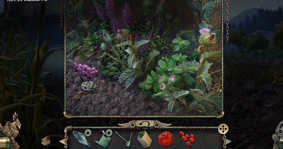 密室逃脱17付子花在哪里