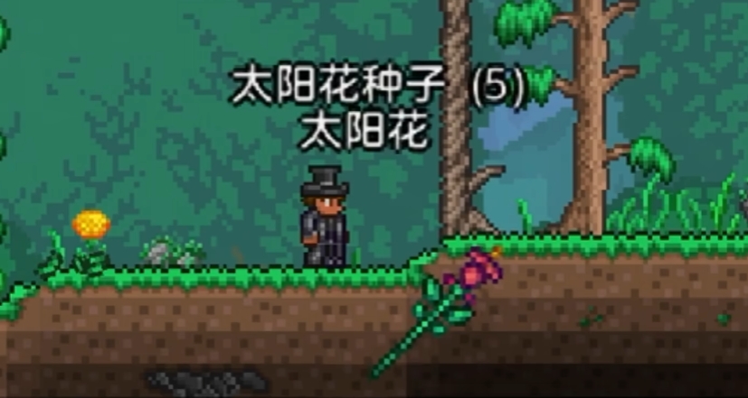 泰拉瑞亚花盆里的植物怎么收获 泰拉瑞亚花盆里的植物怎么收获