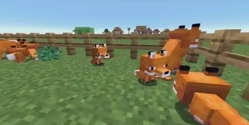 我的世界狐狸可以干什么